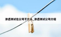 渗透测试在公司干什么_渗透测试公司介绍