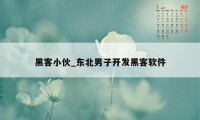 黑客小伙_东北男子开发黑客软件