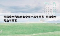 网络安全和信息安全哪个属于黑客_网络安全专业与黑客