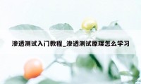 渗透测试入门教程_渗透测试原理怎么学习