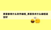 黑客都用什么软件编程_黑客技术什么编程语言好