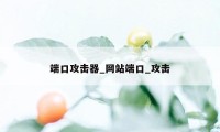 端口攻击器_网站端口_攻击