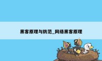 黑客原理与防范_网络黑客原理