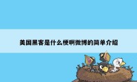 美国黑客是什么梗啊微博的简单介绍