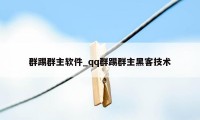 群踢群主软件_qq群踢群主黑客技术