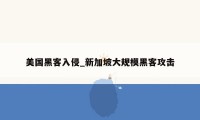 美国黑客入侵_新加坡大规模黑客攻击