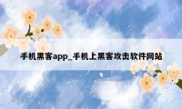 手机黑客app_手机上黑客攻击软件网站