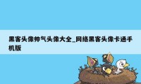 黑客头像帅气头像大全_网络黑客头像卡通手机版