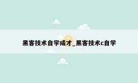 黑客技术自学成才_黑客技术c自学