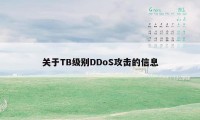 关于TB级别DDoS攻击的信息