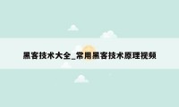 黑客技术大全_常用黑客技术原理视频