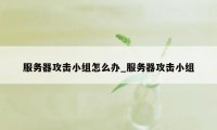 服务器攻击小组怎么办_服务器攻击小组