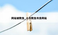 网站被爬虫_小伙爬虫攻击网站