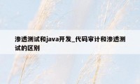 渗透测试和java开发_代码审计和渗透测试的区别