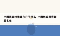 中国黑客林勇现在在干什么_中国林氏黑客联盟名单