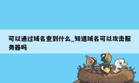 可以通过域名查到什么_知道域名可以攻击服务器吗