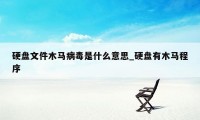 硬盘文件木马病毒是什么意思_硬盘有木马程序