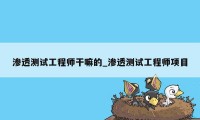 渗透测试工程师干嘛的_渗透测试工程师项目