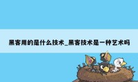 黑客用的是什么技术_黑客技术是一种艺术吗