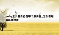 pubg怎么看自己在哪个服务器_怎么看服务器被攻击