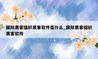 国际黑客组织黑客软件是什么_国际黑客组织黑客软件