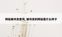 网站被攻击查询_被攻击的网站是什么样子