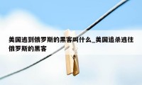 美国逃到俄罗斯的黑客叫什么_美国追杀逃往俄罗斯的黑客