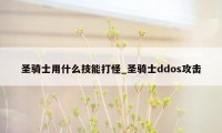 圣骑士用什么技能打怪_圣骑士ddos攻击