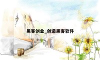 黑客创业_创造黑客软件