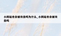 小网站也会被攻击吗为什么_小网站也会被攻击吗