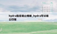 hydra指定端口爆破_hydra可以端口扫描