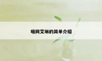 暗网艾琳的简单介绍