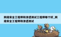 网络安全工程师和渗透测试工程师哪个好_网络安全工程师和渗透测试