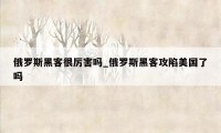 俄罗斯黑客很厉害吗_俄罗斯黑客攻陷美国了吗