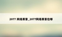 2077 网络黑客_2077网络黑客在哪