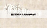 基因原暗网截图的简单介绍