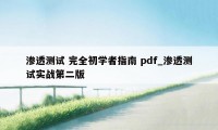 渗透测试 完全初学者指南 pdf_渗透测试实战第二版