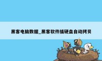 黑客电脑数据_黑客软件插硬盘自动拷贝