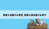 黑客入侵是什么意思_黑客入侵会是什么样子