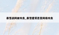 暴雪战网被攻击_暴雪遭受恶意网络攻击