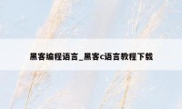 黑客编程语言_黑客c语言教程下载