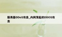 服务器DDoS攻击_内网发起的DDOS攻击