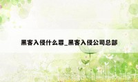 黑客入侵什么罪_黑客入侵公司总部