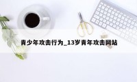 青少年攻击行为_13岁青年攻击网站