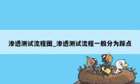 渗透测试流程图_渗透测试流程一般分为踩点