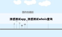 渗透测试app_渗透测试whois查询