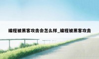 编程被黑客攻击会怎么样_编程被黑客攻击