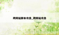 跨网站脚本攻击_跨网站攻击