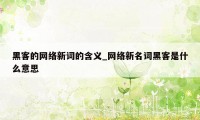 黑客的网络新词的含义_网络新名词黑客是什么意思