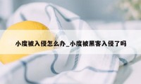 小度被入侵怎么办_小度被黑客入侵了吗